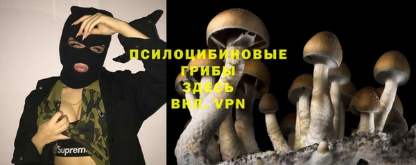 MDMA Premium VHQ Богородицк