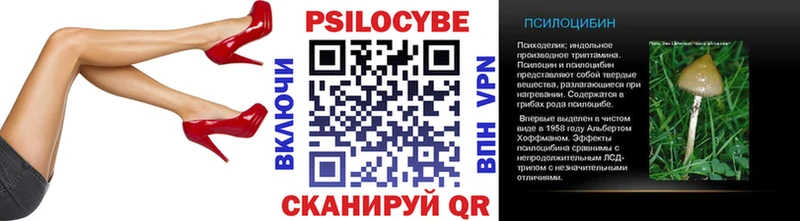 ссылка на мегу онион  Пионерский  Псилоцибиновые грибы Cubensis 
